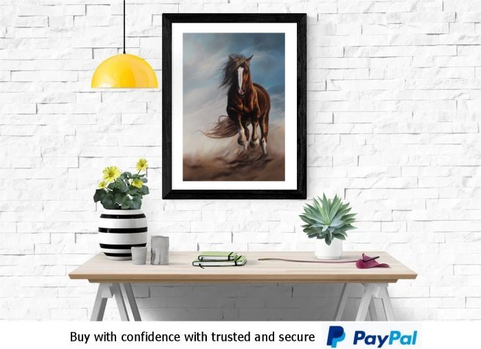 Horse  Framed Prints